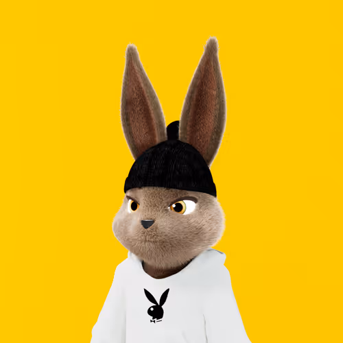 Playboyrabbitars
