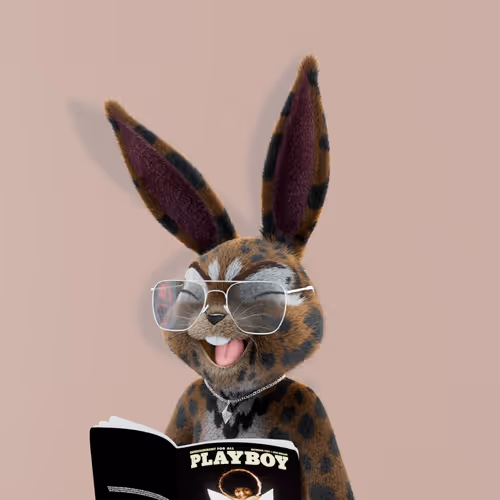 Playboyrabbitars