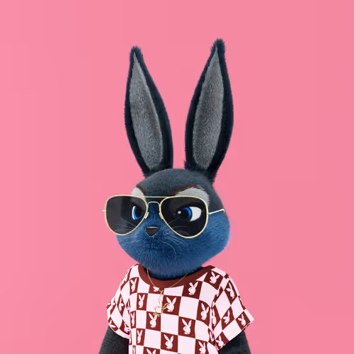 Playboyrabbitars