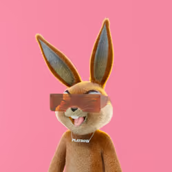 Rabbitar #5897