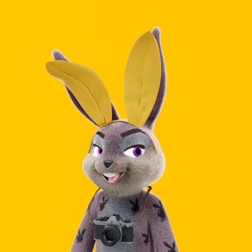 Playboyrabbitars