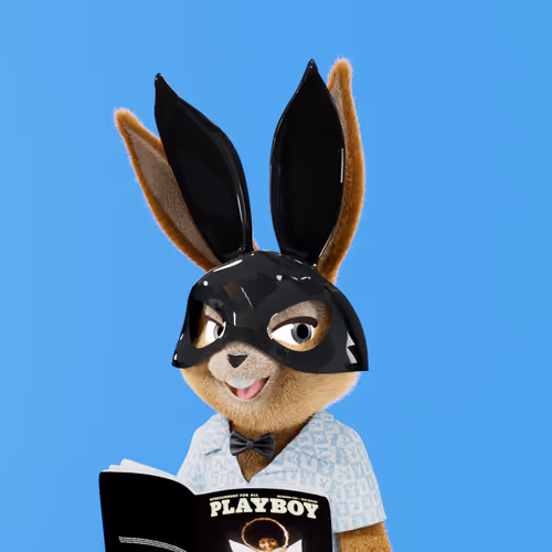 Playboyrabbitars