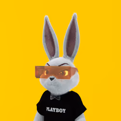 Rabbitar #4270