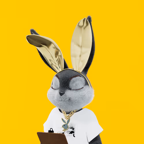 Playboyrabbitars