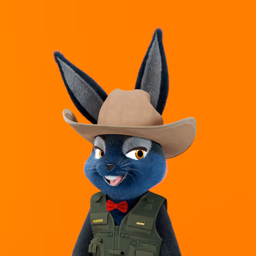 Playboyrabbitars