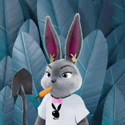 Rabbitar #4764