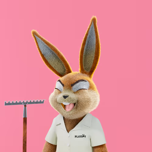 Rabbitar #845