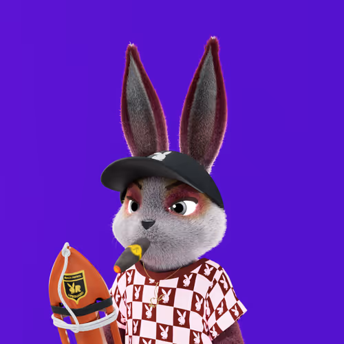 Playboyrabbitars