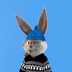 Rabbitar #2937