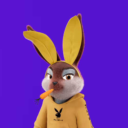 Playboyrabbitars