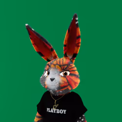Rabbitar #1065