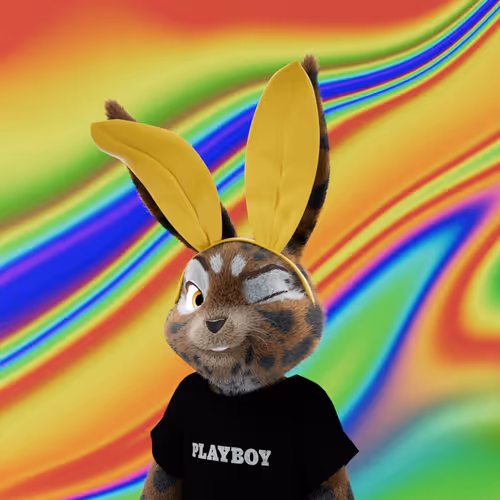 Playboyrabbitars
