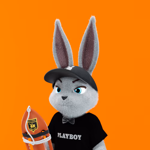Rabbitar #4838