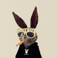 Rabbitar #3538