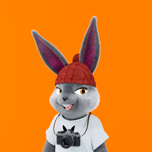 Playboyrabbitars