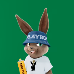 Rabbitar #10945