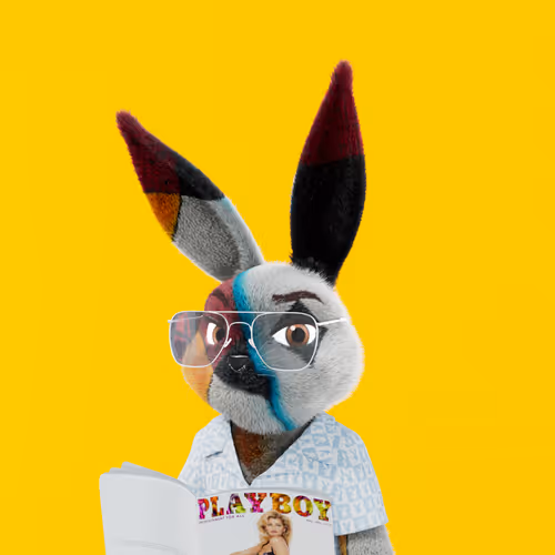 Playboyrabbitars