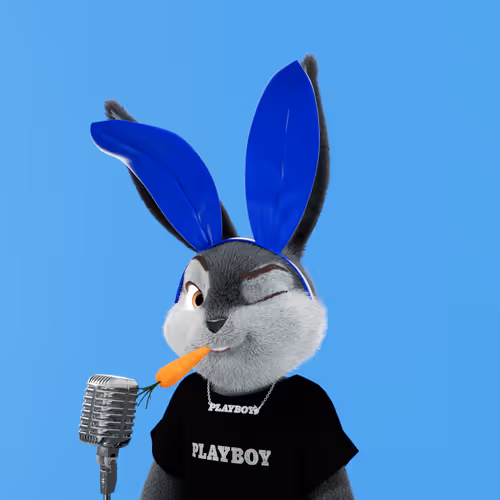 Playboyrabbitars