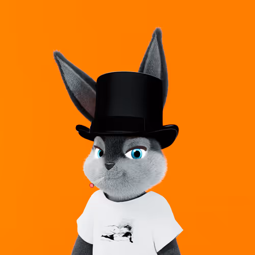 Playboyrabbitars