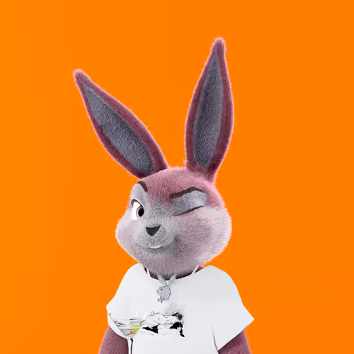 Playboyrabbitars
