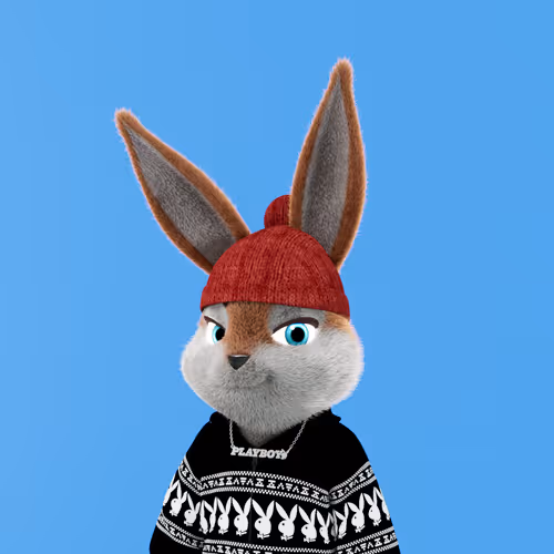 Playboyrabbitars