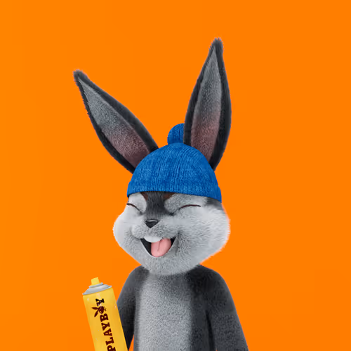 Playboyrabbitars