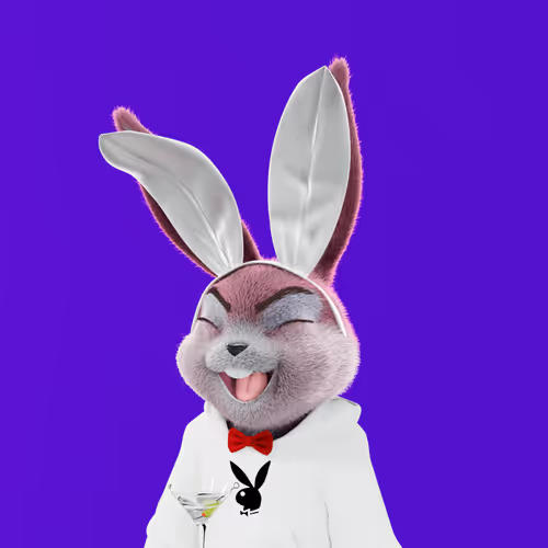 Playboyrabbitars