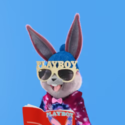 Rabbitar #8870