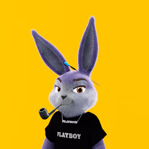 Playboyrabbitars