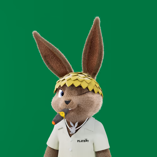 Rabbitar #4101