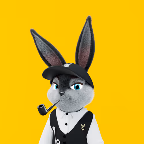 Playboyrabbitars