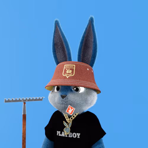 Playboyrabbitars