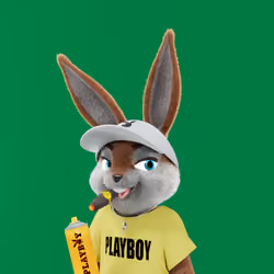 Rabbitar #5650