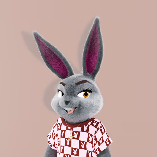 Playboyrabbitars