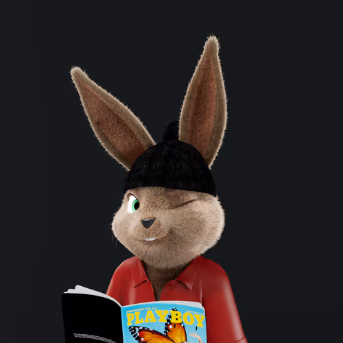 Playboyrabbitars