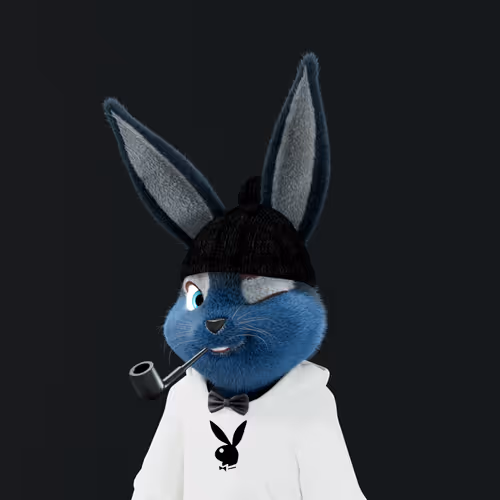 Playboyrabbitars