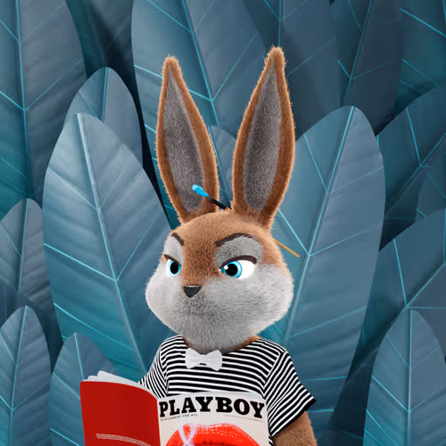 Playboyrabbitars
