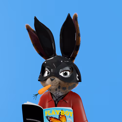 Playboyrabbitars