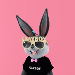 Rabbitar #1069