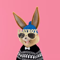 Rabbitar #1644