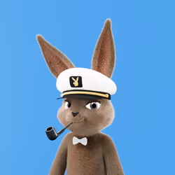 Rabbitar #1064