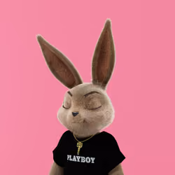 Rabbitar #848