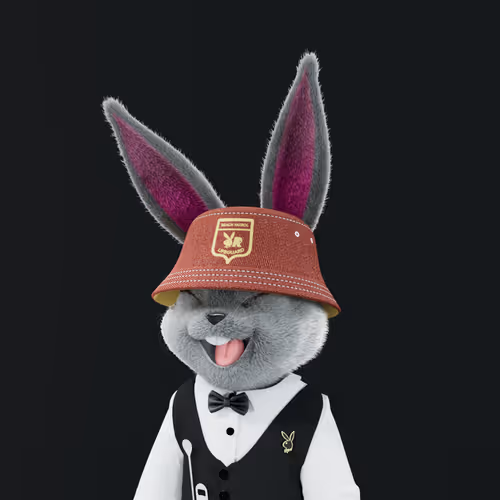 Playboyrabbitars