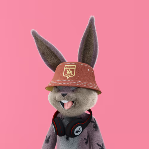 Playboyrabbitars