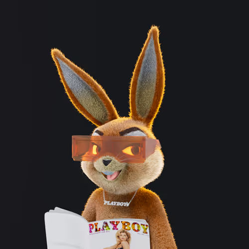 Playboyrabbitars