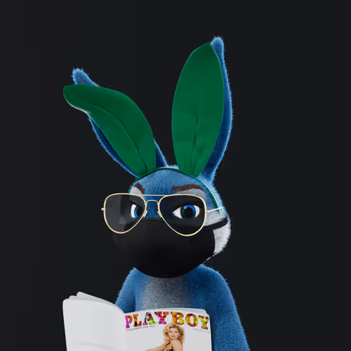 Playboyrabbitars