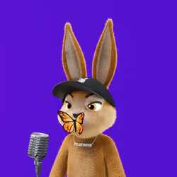 Rabbitar #6360