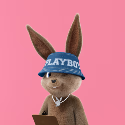 Playboyrabbitars