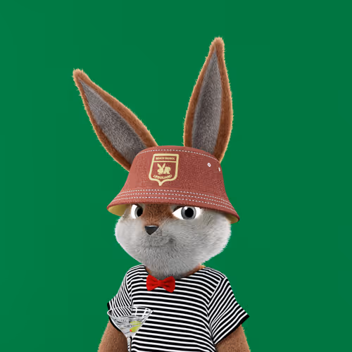 Playboyrabbitars