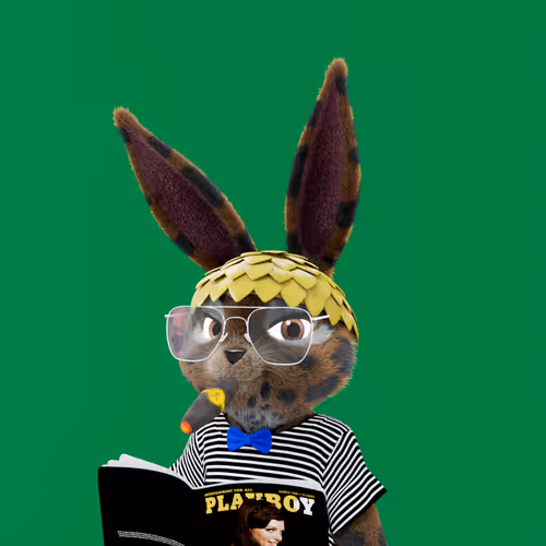Playboyrabbitars